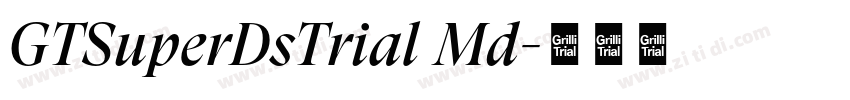 GTSuperDsTrial Md字体转换